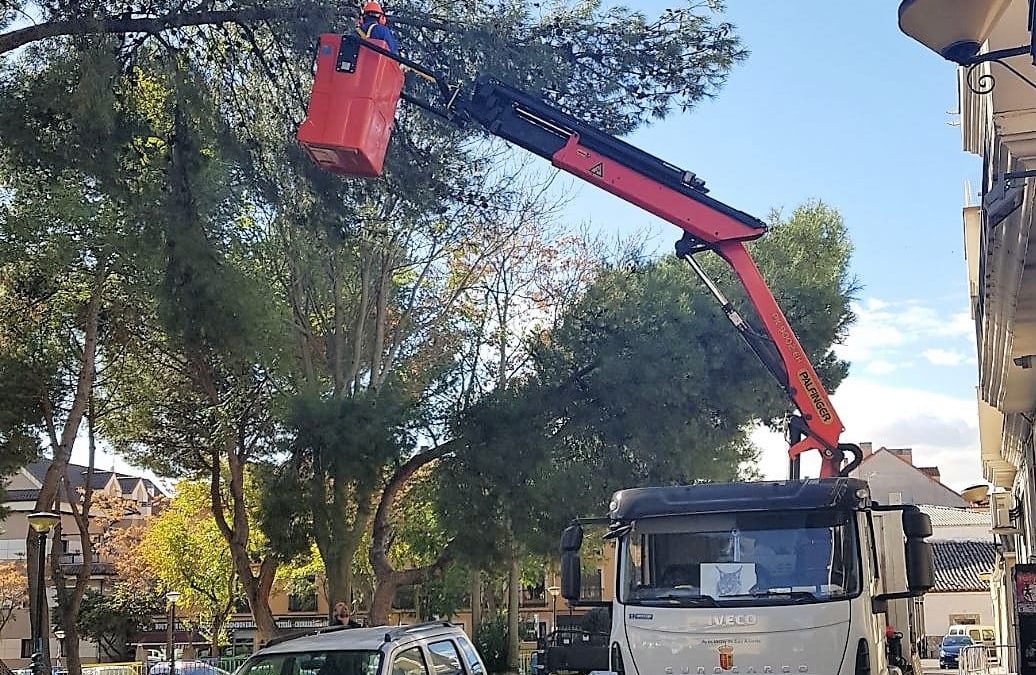 Comienzan los trabajos de poda en el municipio