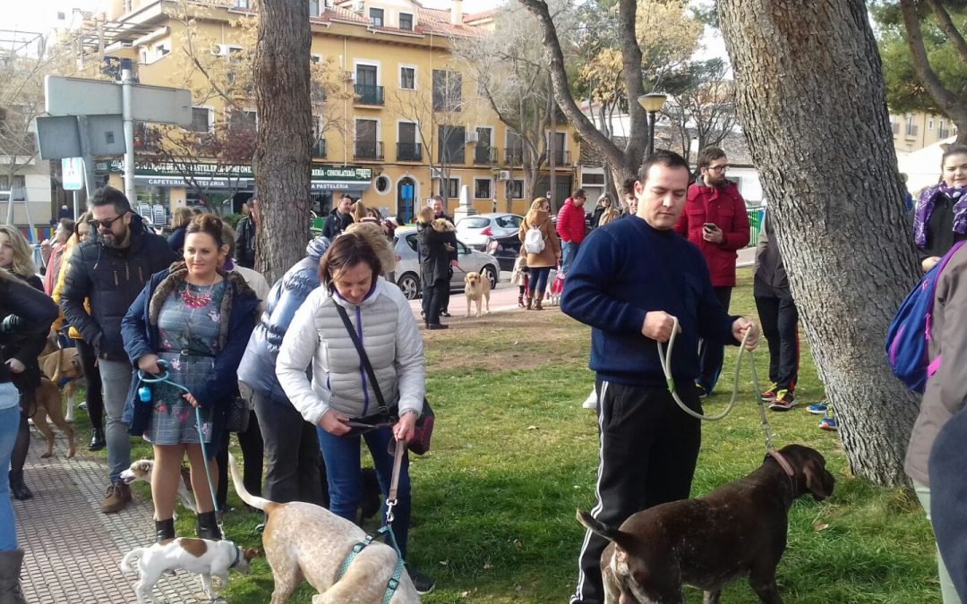 2018 San Antón