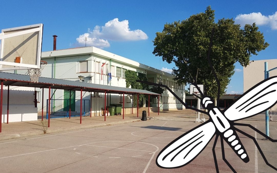 Campaña de sensibilización sobre el mosquito tigre en los centros educativos
