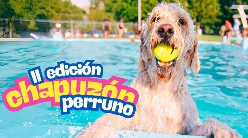 banner ii ed chapuzon perruno banner ii ed chapuzon perruno