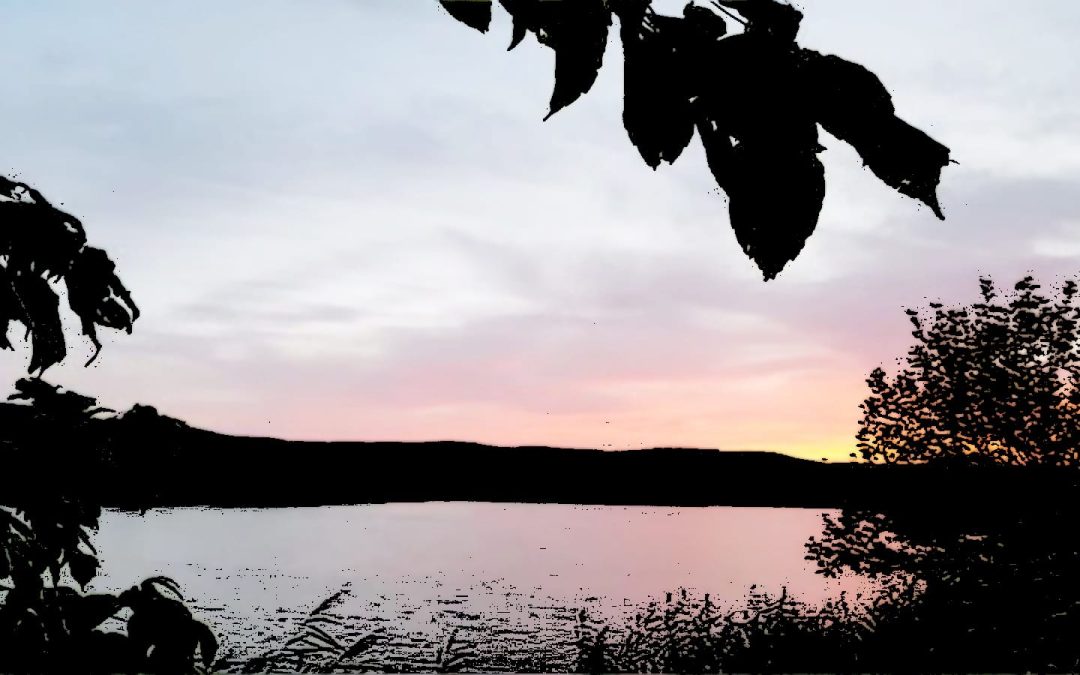 Las Noches en la Laguna