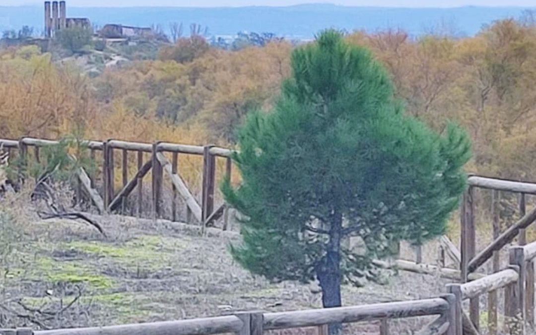 Medidas de prevención frente a las picaduras de garrapatas
