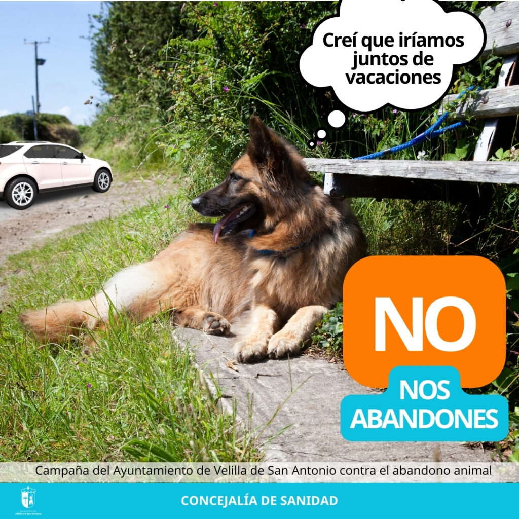 campaña abandono animales 2024 perro (1)