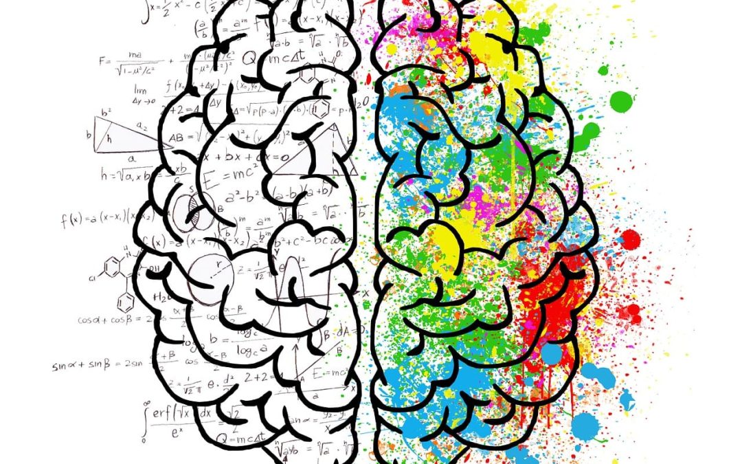 Sesiones para padres y madres sobre neurociencia educativa