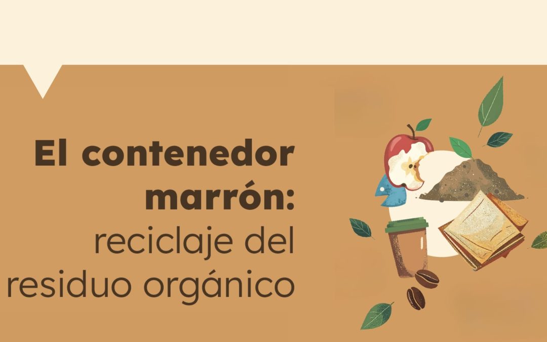 Contenedor marrón: restos de alimentos y otros residuos orgánicos