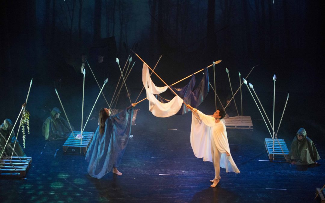 Durante esta semana se ha celebrado en el Auditorio de Velilla la tercera edición del Festival de Artes Escénicas IES Ana Mª Matute