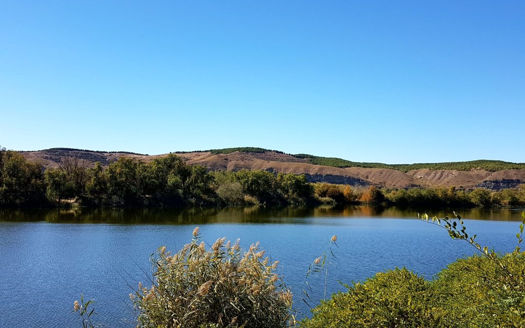 La evolución del estudio de los humedales y la instalación de bancos, papeleras y puestos de pesca en la laguna, conclusiones de la reunión de la Comisión de Medio Ambiente