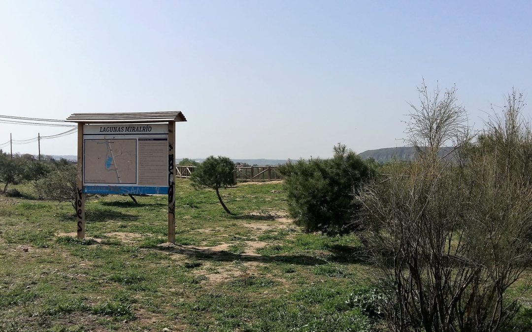 La laguna Miralrío fue uno de los escenarios elegidos para la segunda edición de «1m2 por la naturaleza»