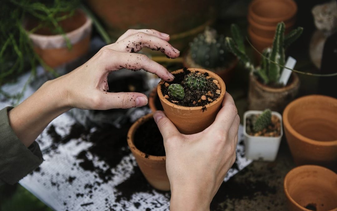 Taller “Plantemos en igualdad”