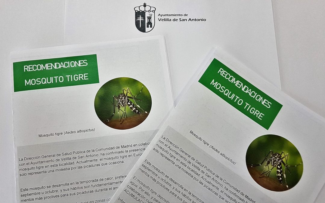 Velilla sigue trabajando para prevenir la presencia de mosquito tigre