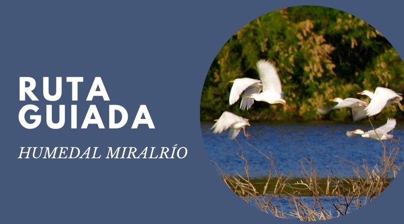 ruta guiada miralrio web ruta guiada miralrio web