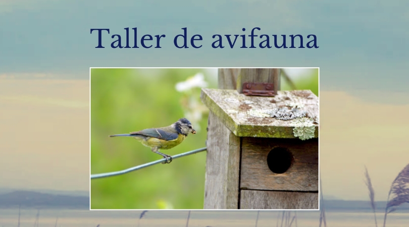 Taller de avifauna (cajas nido) - APLAZADO