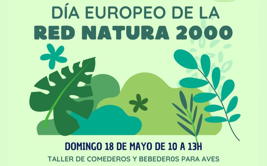 Taller de comederos y bebederos para aves