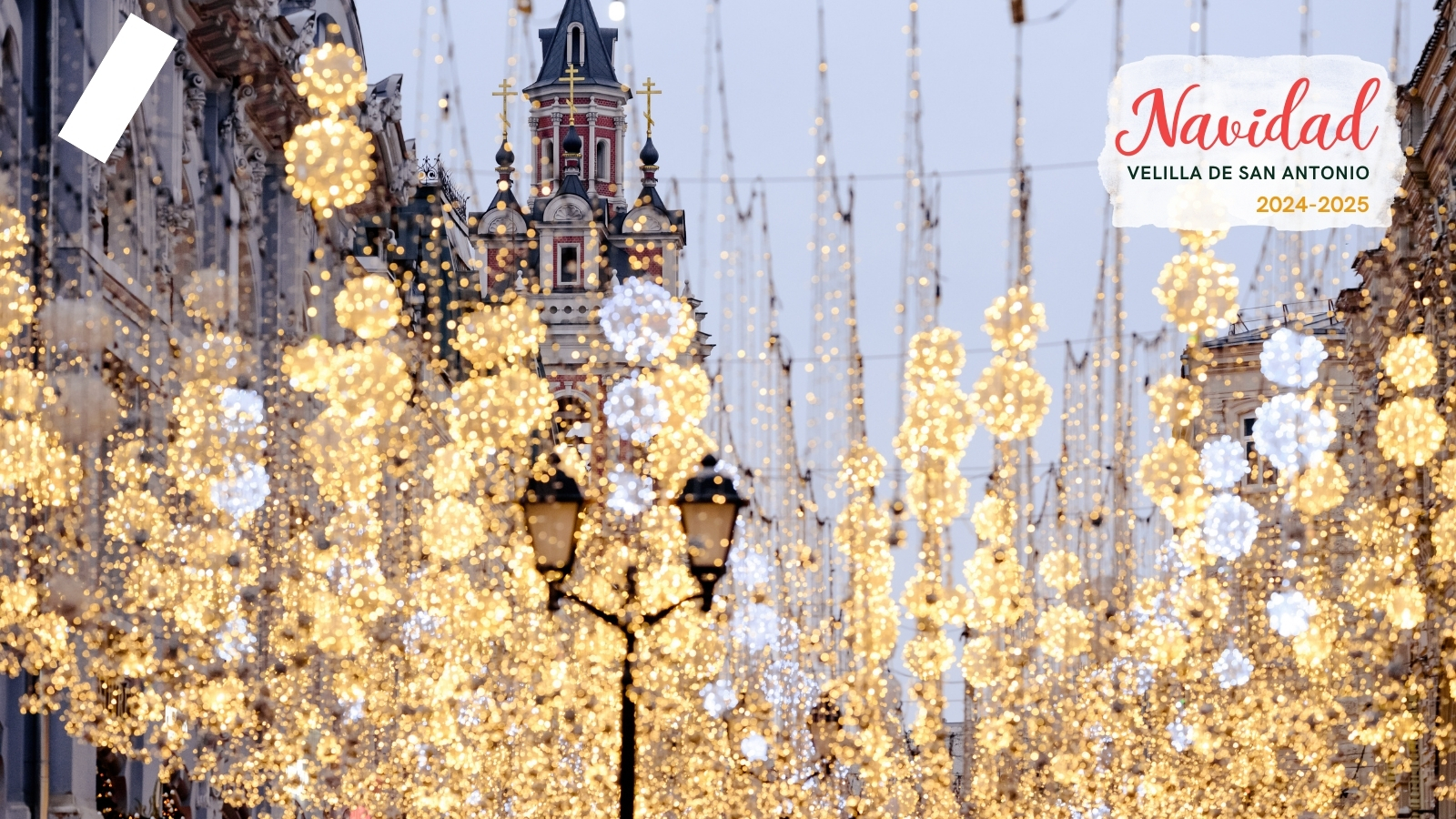 Tour Madrid "Luces Navideñas"